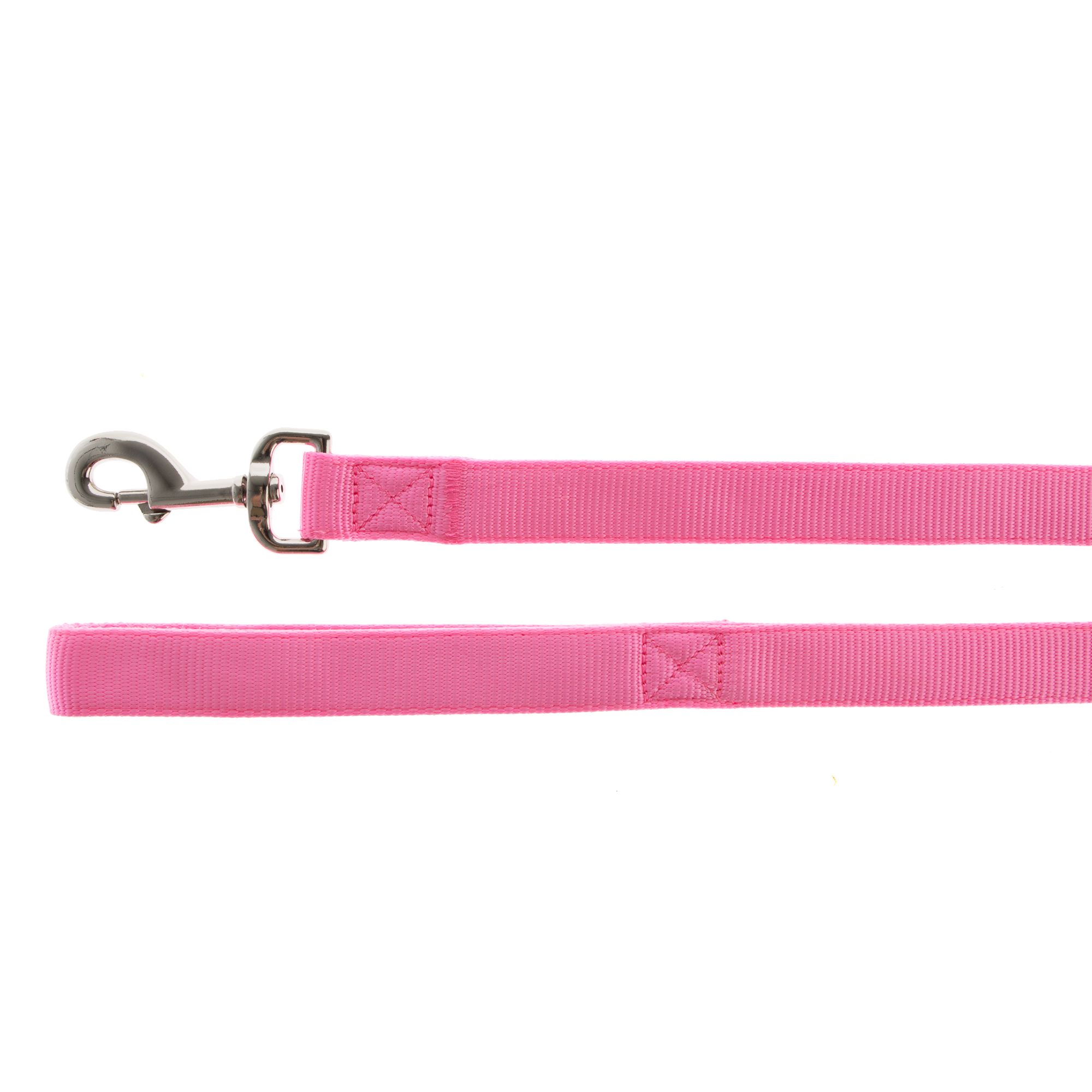 Slip lead best sale leash petsmart