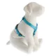 Product Top Paw® Gunmetal Adjustable Dog Harness