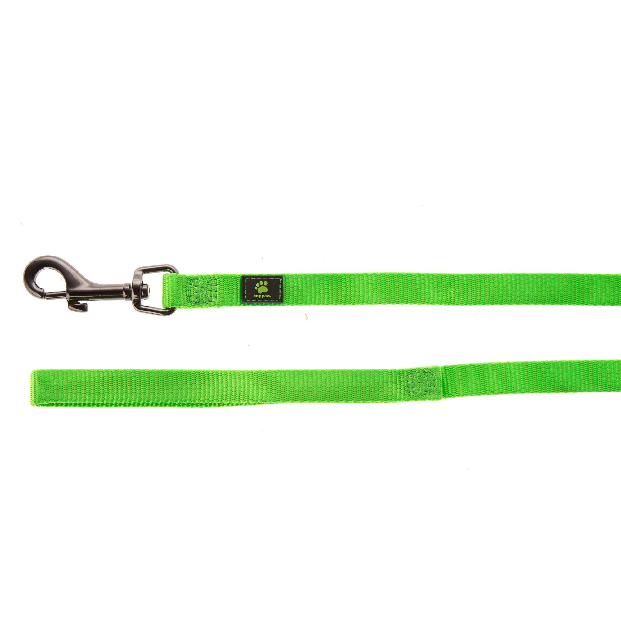 kong dog lead
