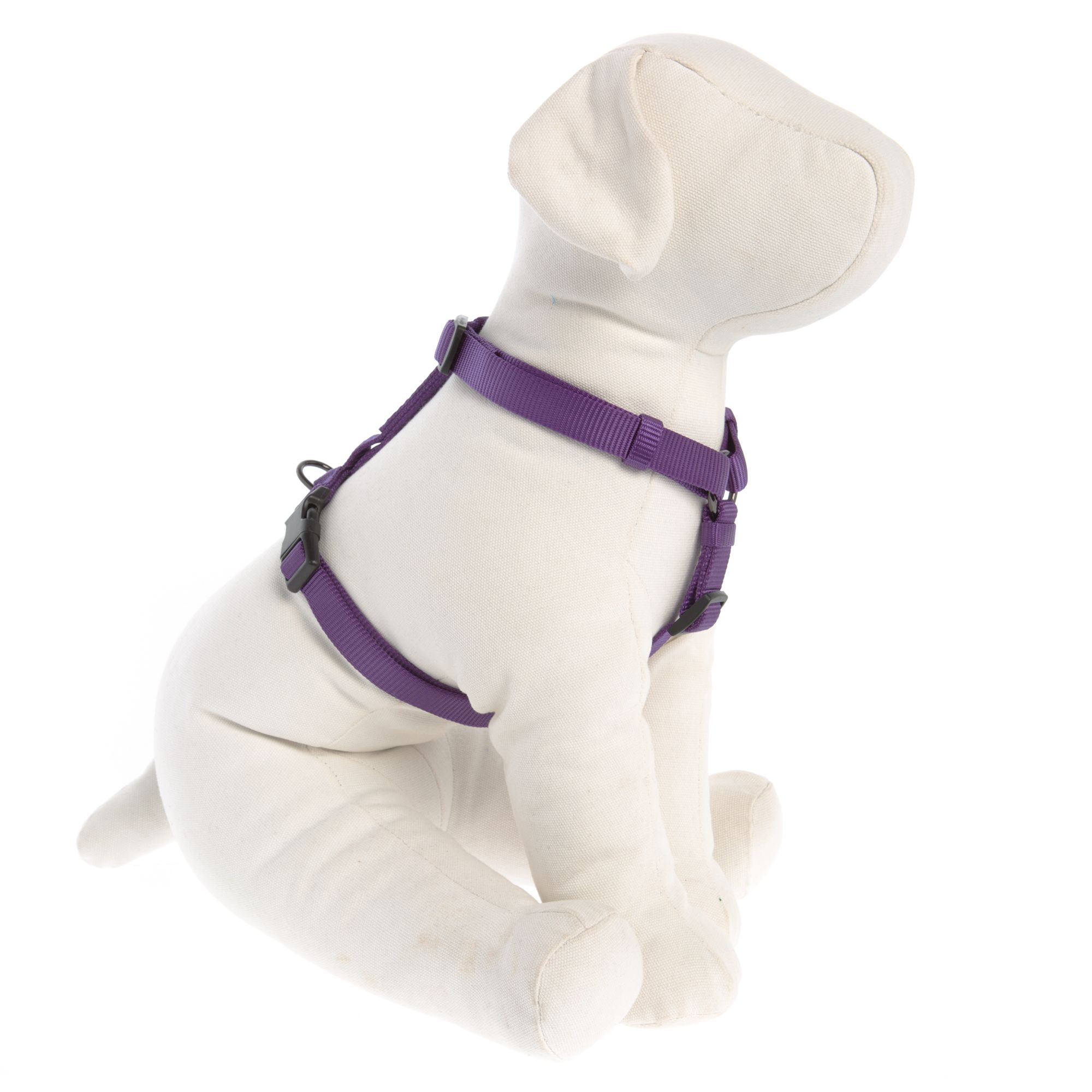 Petsmart top paw harness hotsell