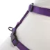 Top Paw® Gunmetal Adjustable Dog Harness image thumbnail 2