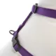 Product Top Paw® Gunmetal Adjustable Dog Harness