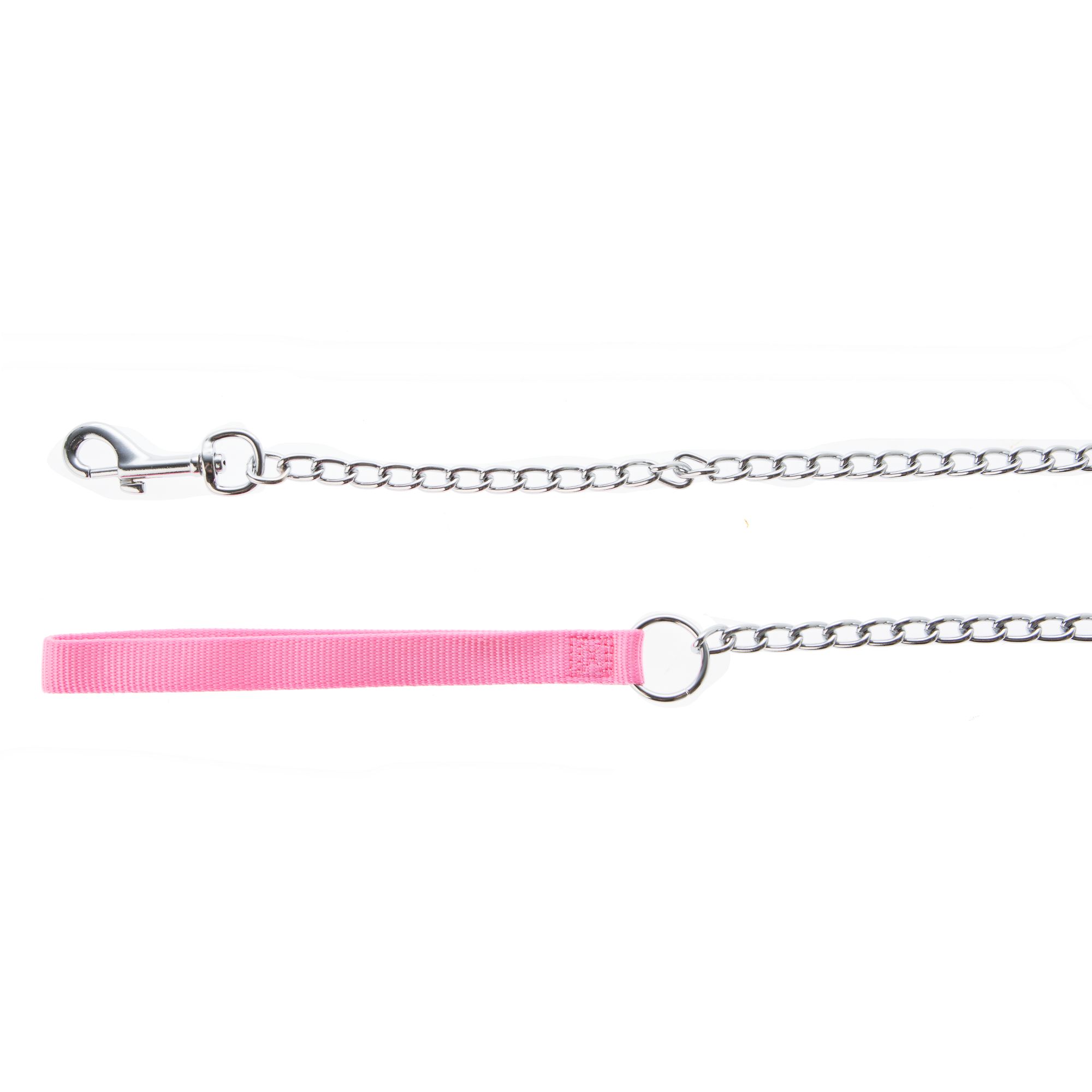 pink chain dog leash