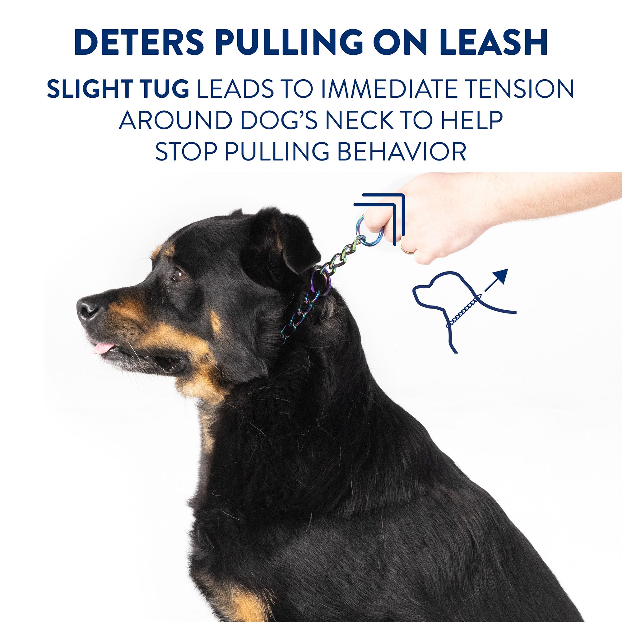 Leash Flat Link Chain Dog Show Collar Top Paw® Extra Heavy