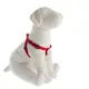 Product Great Choice® Step In Adjustable Dog Harness