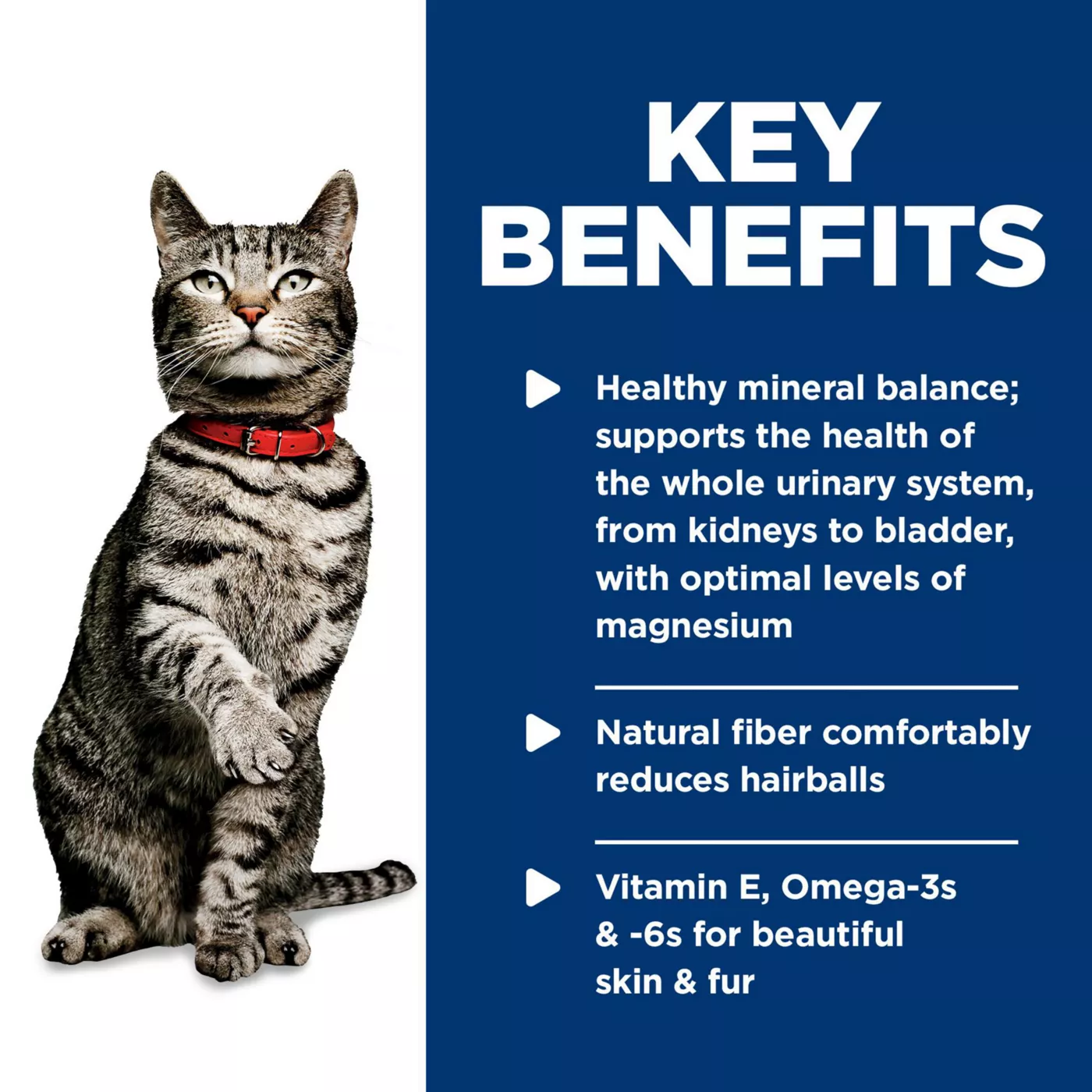 Hill s Science Diet Urinary Hairball Control Adult Wet Cat Food Minced 5.5 oz