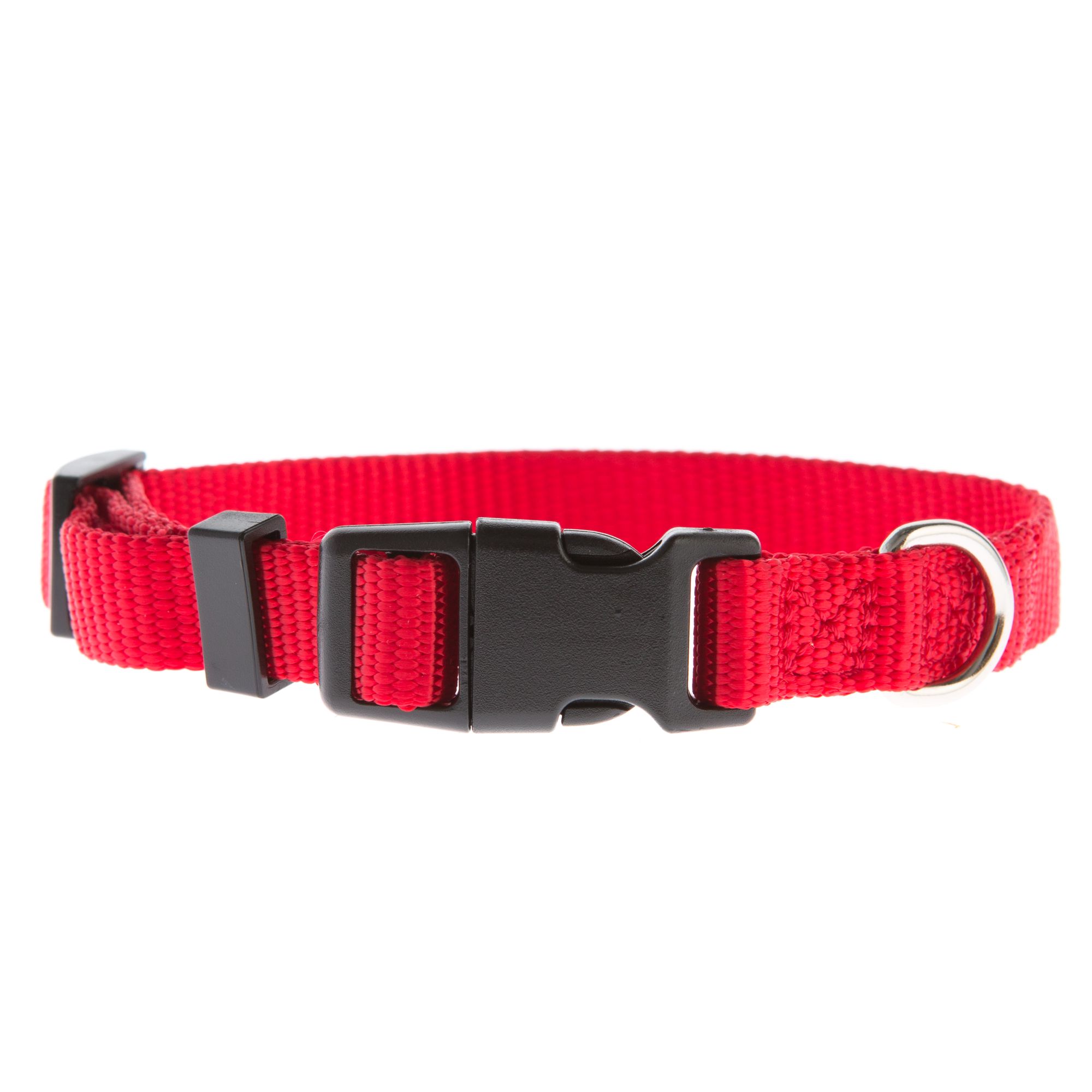 Top Paw® Signature Dog Collar, dog Collars