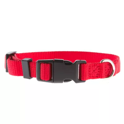 Product Top Paw® Signature Dog Collar