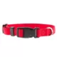 Product Top Paw® Signature Dog Collar