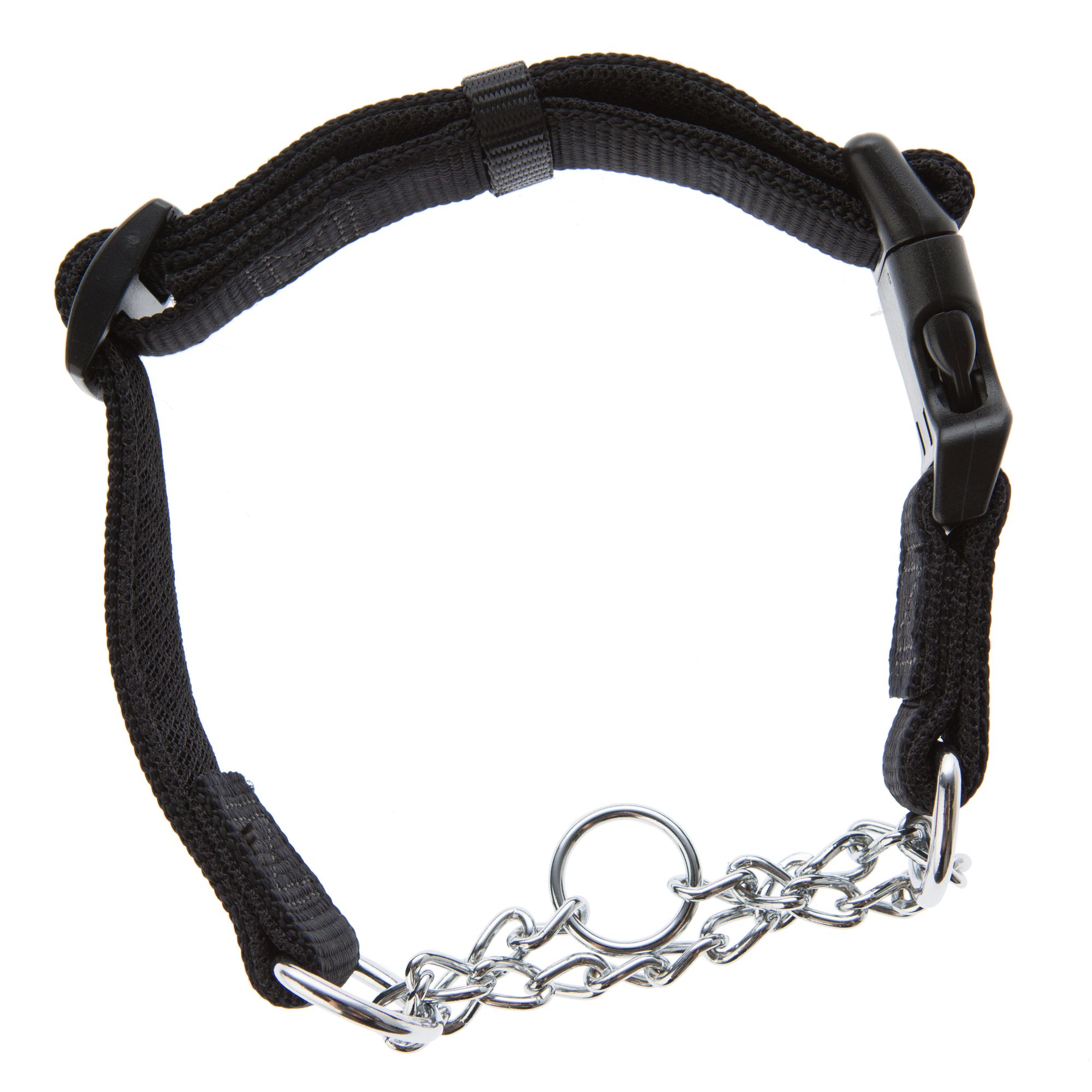 head collar petsmart