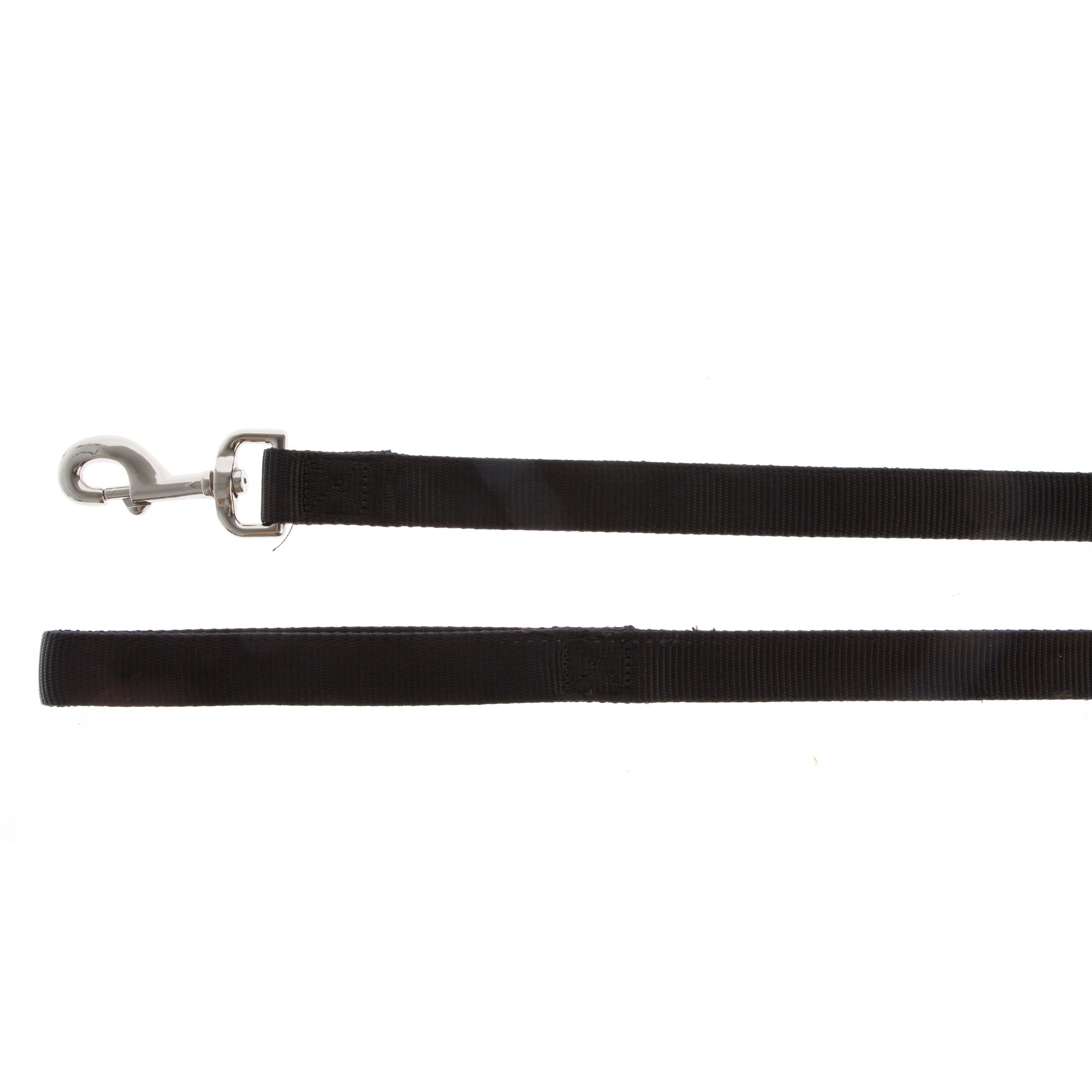 Top Paw Double Nylon Dog Leash 6 ft Long 1 in Wide in Black PetSmart