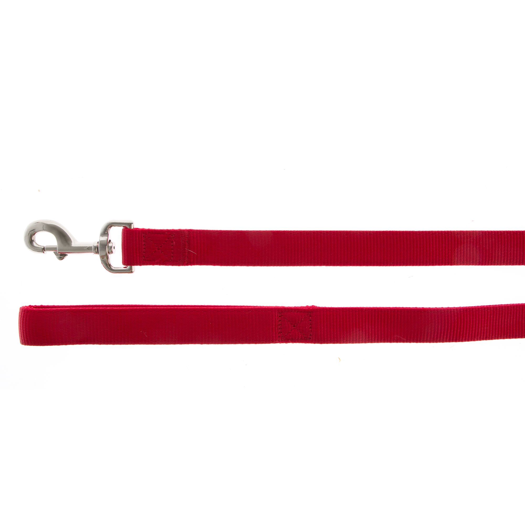 double nylon dog leash