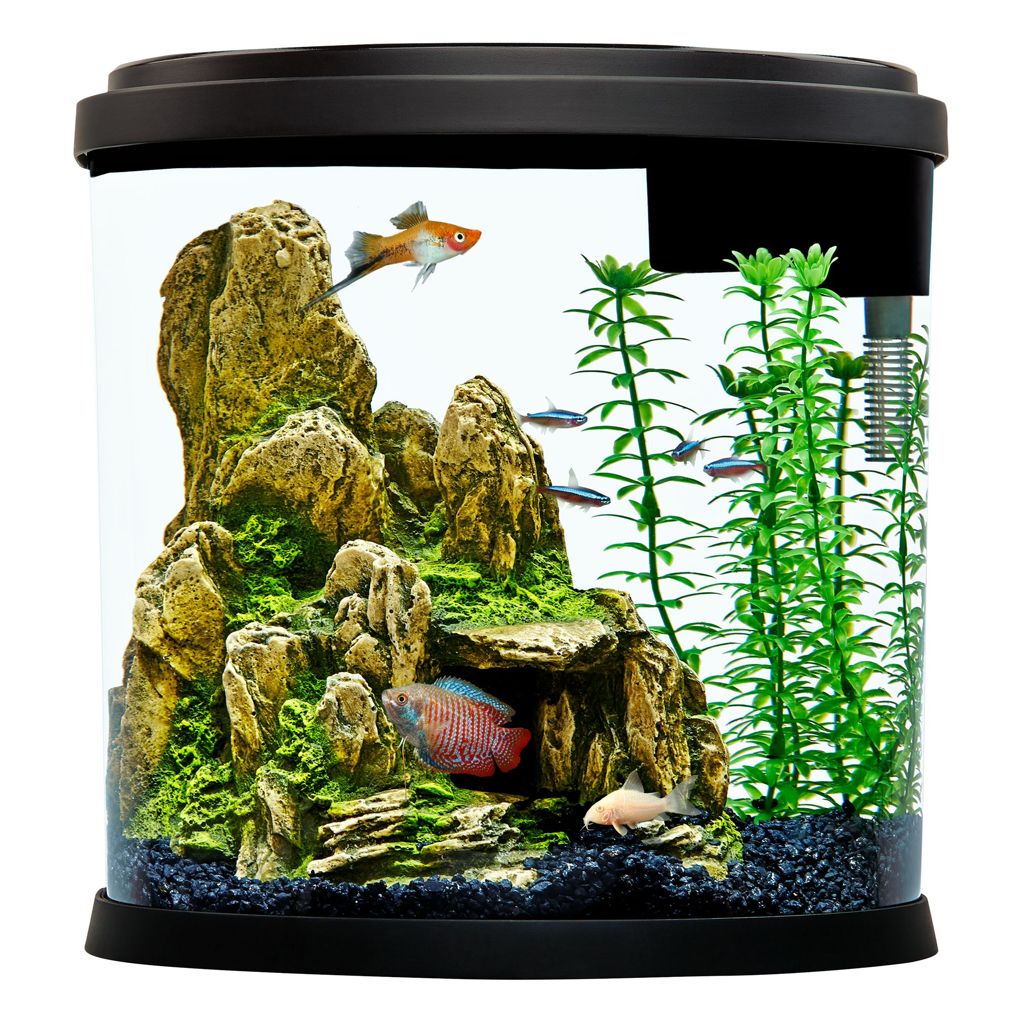 Top Fin® Enchant Aquarium - 3.5 Gallon 