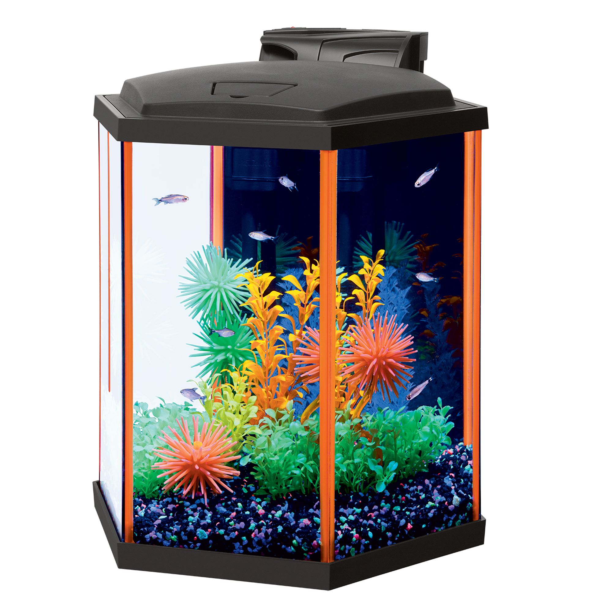 GloFish® 10 Gallon Aquarium Kit | fish GloFish® 3 Gallon Betta Aquarium Kit...