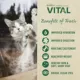 Product Freshpet® Vital Cat Food - Grain Free, Chicken & Beef