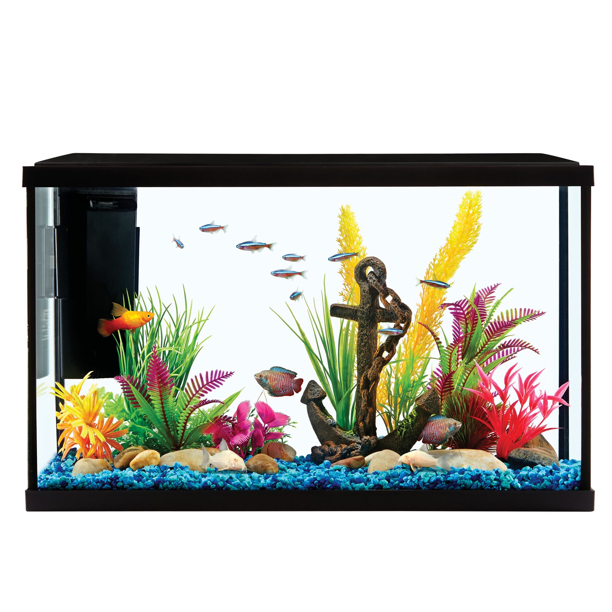 Grreat Choice® Aquarium Starter Kit 