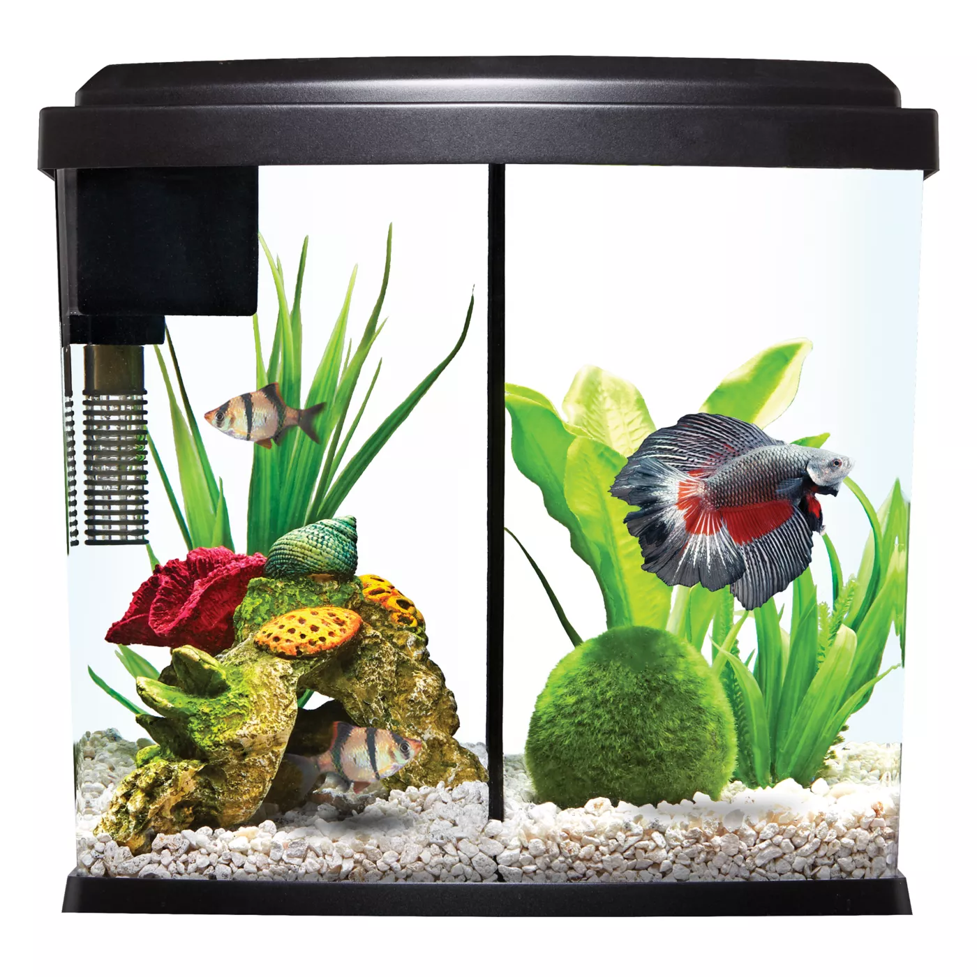 Rated betta shops fish tanks