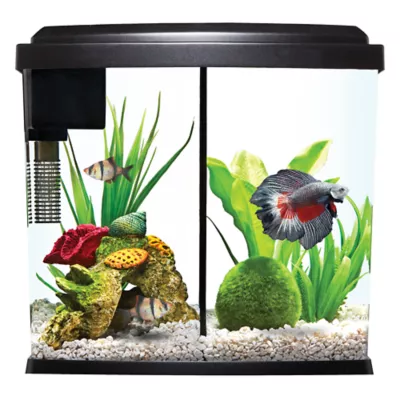 Petsmart top fin 5 gallon hotsell