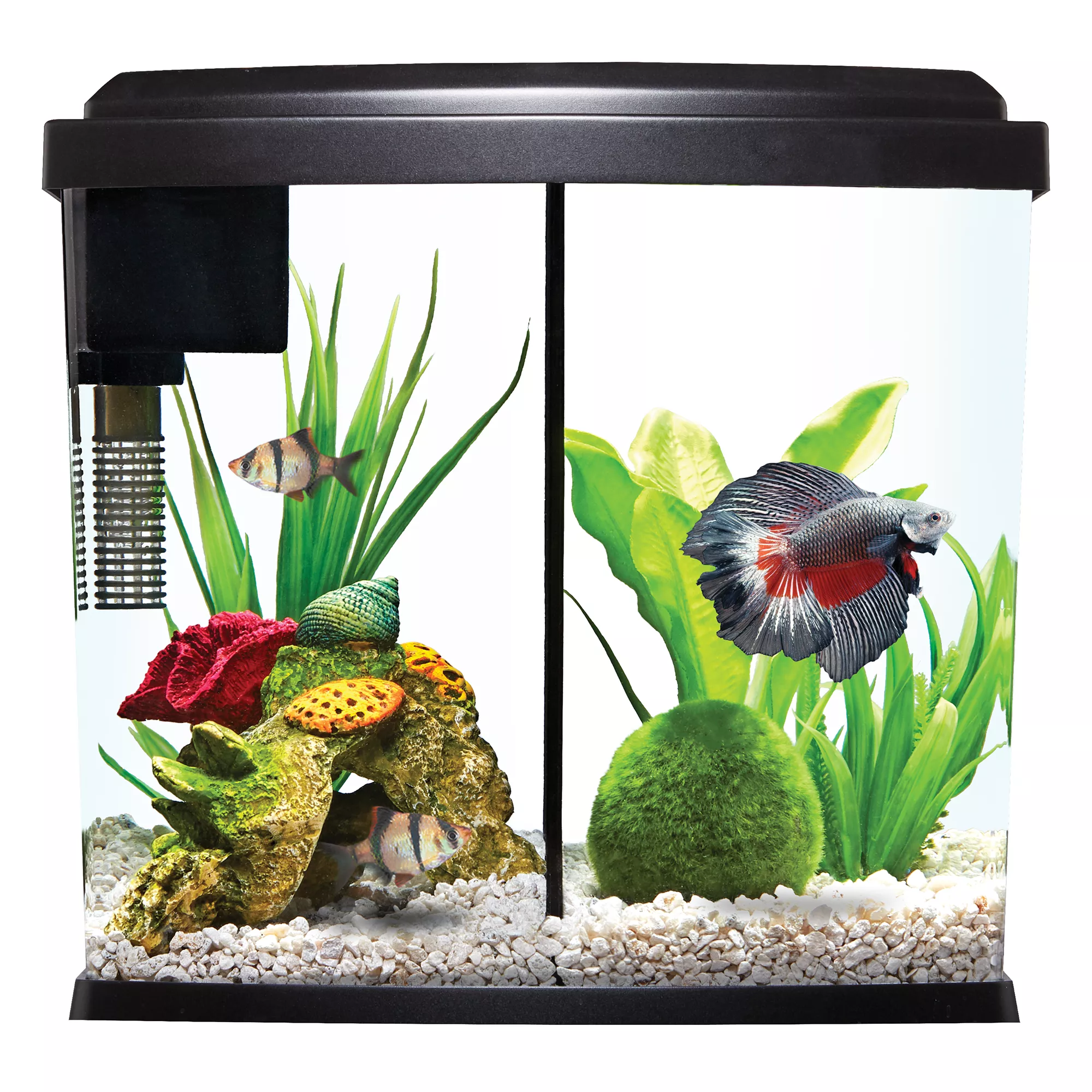 Petsmart 50 gallon tank hotsell