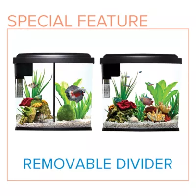 Petbarn fish tanks best sale