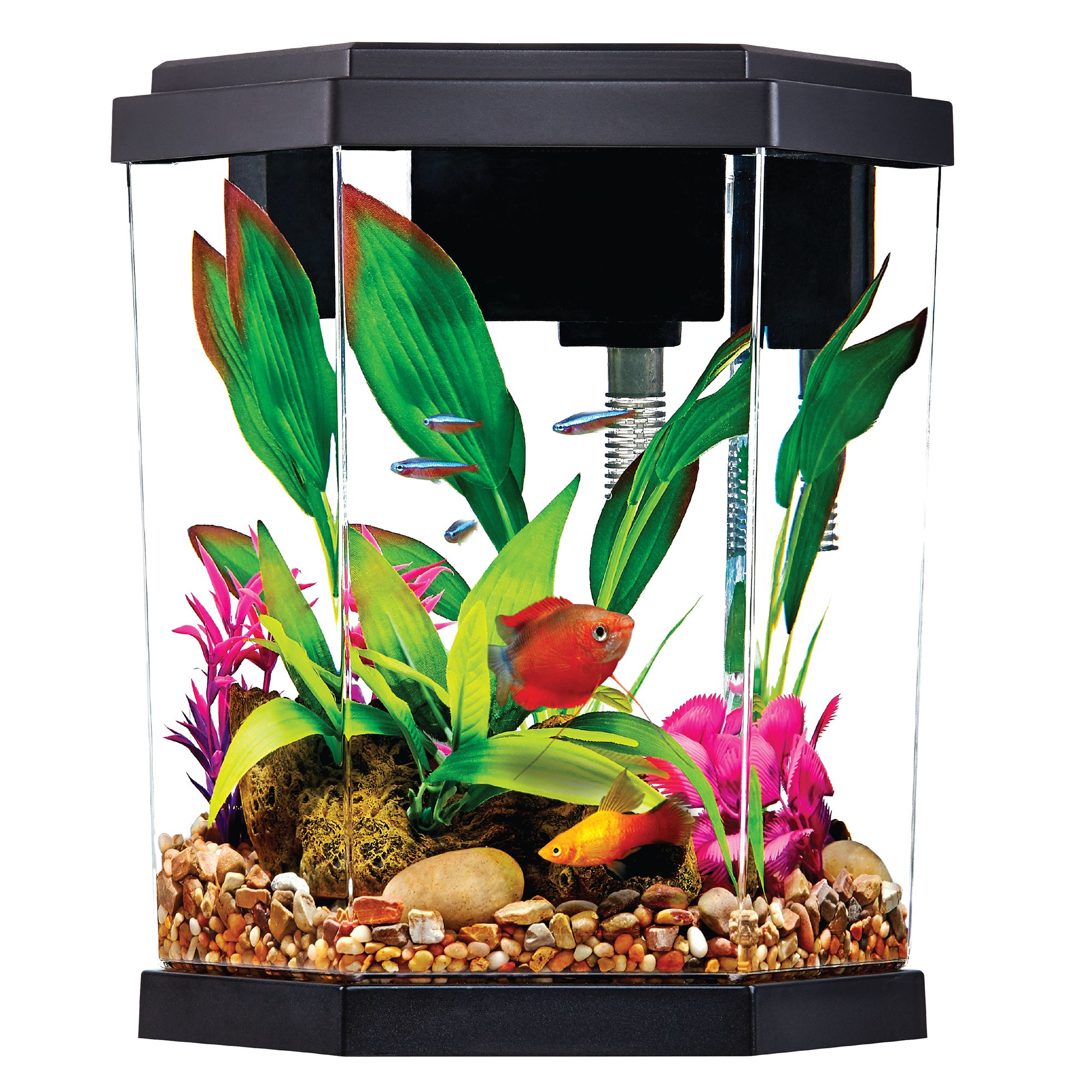 Top Fin® Hexagon Aquarium - 2 Gallon.