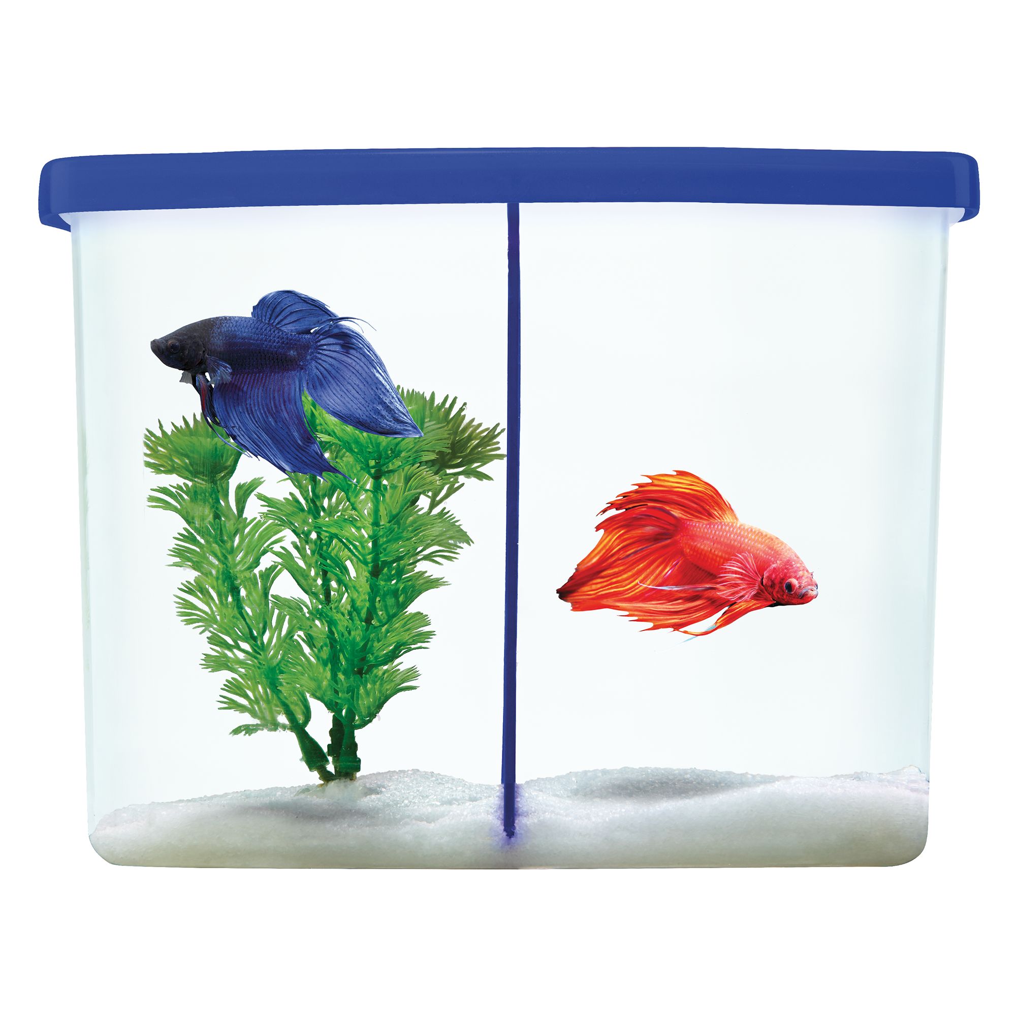 betta fish tank petsmart