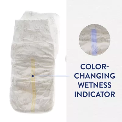 Top Paw® Disposable Male Wrap Dog Diapers - Image 4