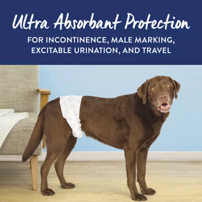 Top Paw® Disposable Male Wrap Dog Diapers - Image 5