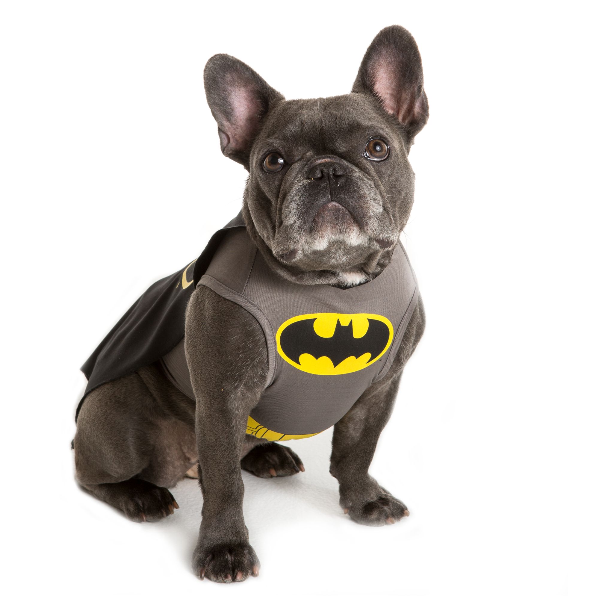 DC Comics™ Batman Pet Costume dog Costumes PetSmart