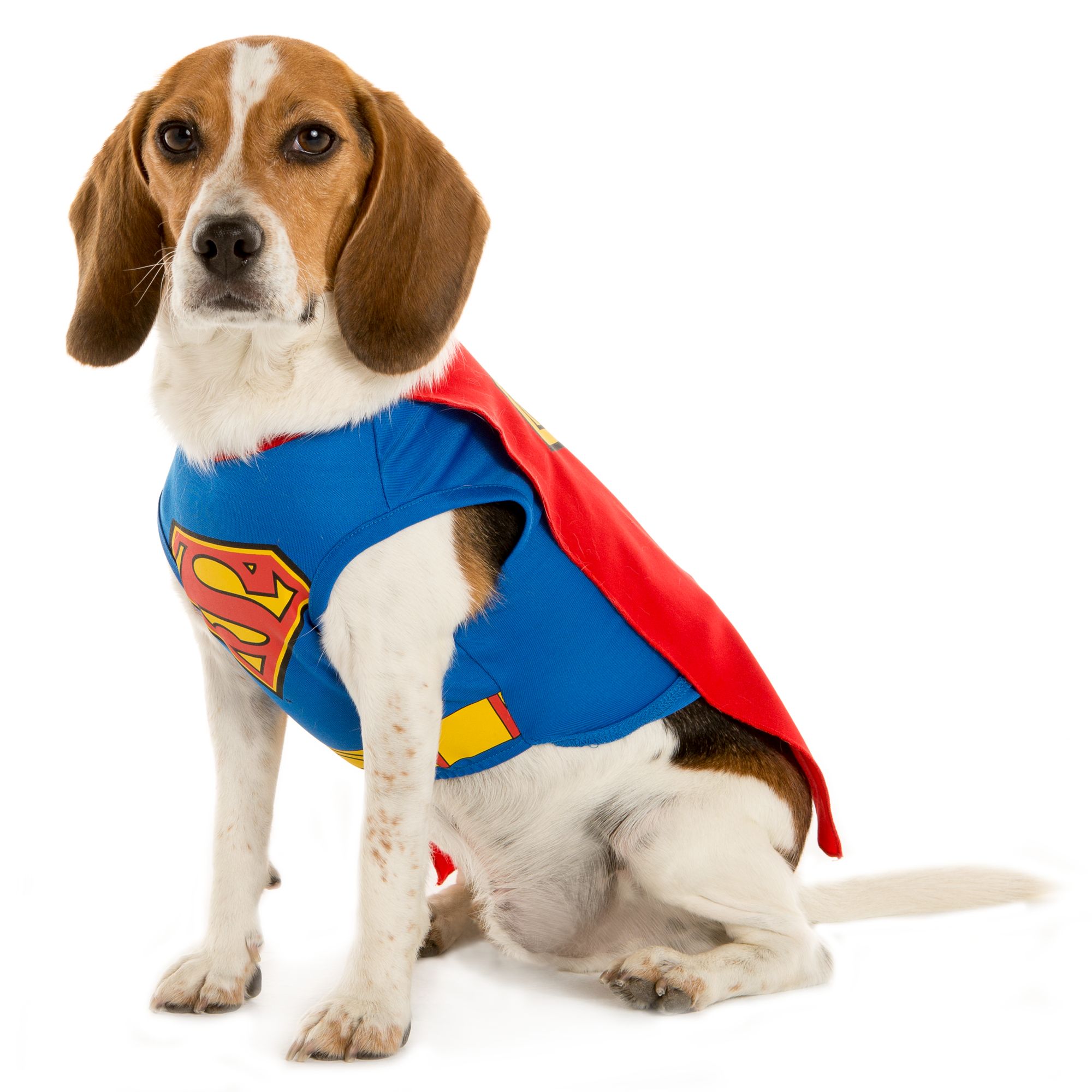 DC Comics™ Superman Pet Costume | dog Costumes | PetSmart