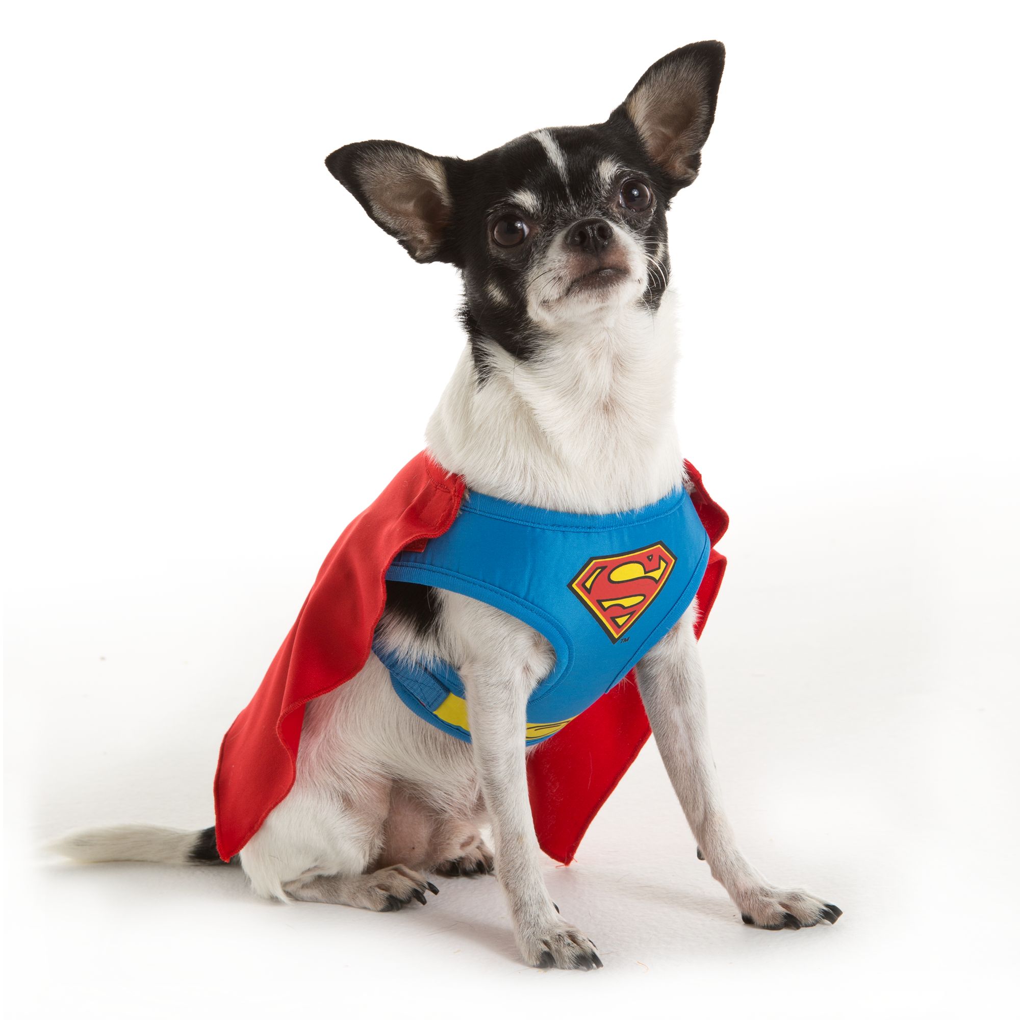 superman dog bandana