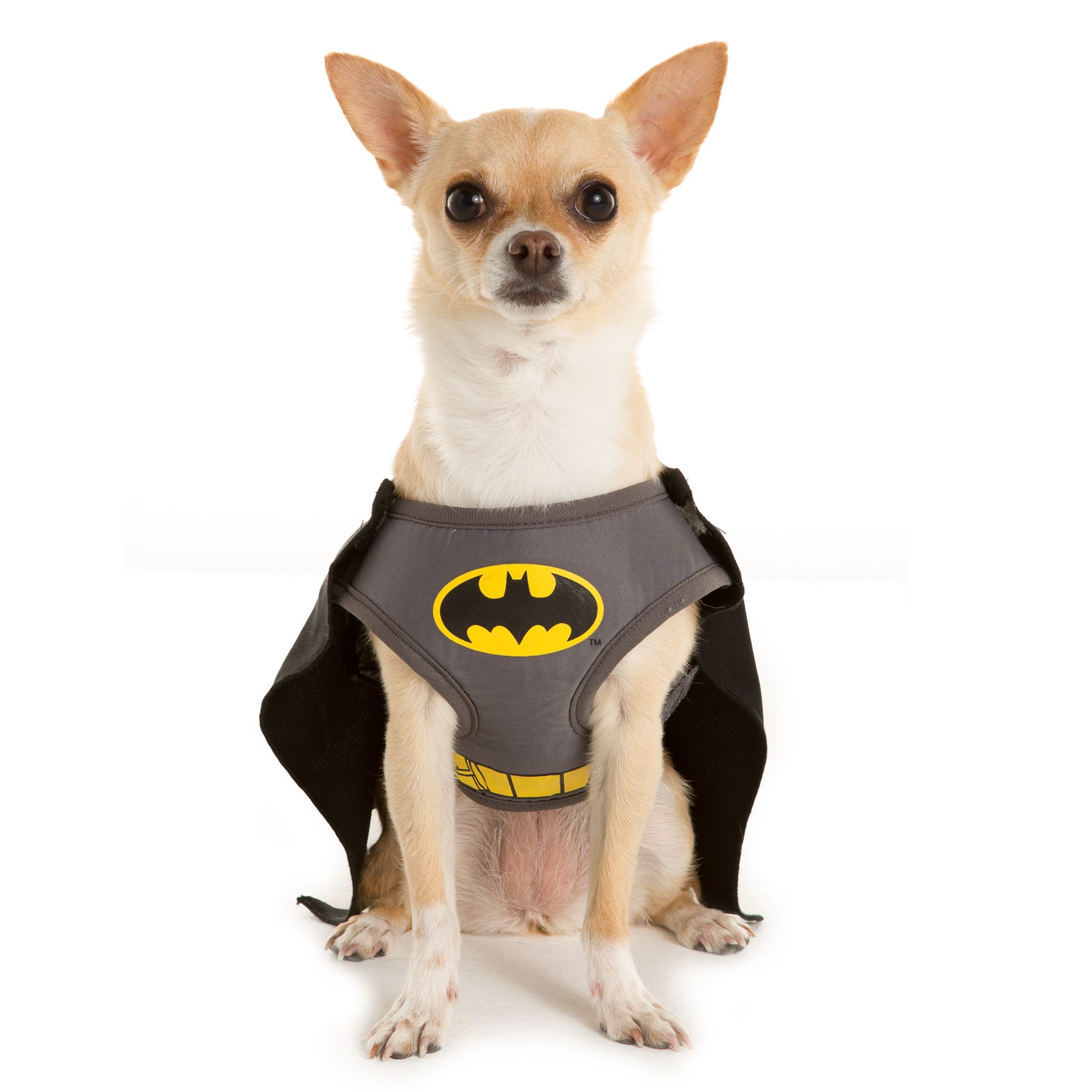 DC Comics™ Pet Halloween Batman Harness | dog Harnesses ...