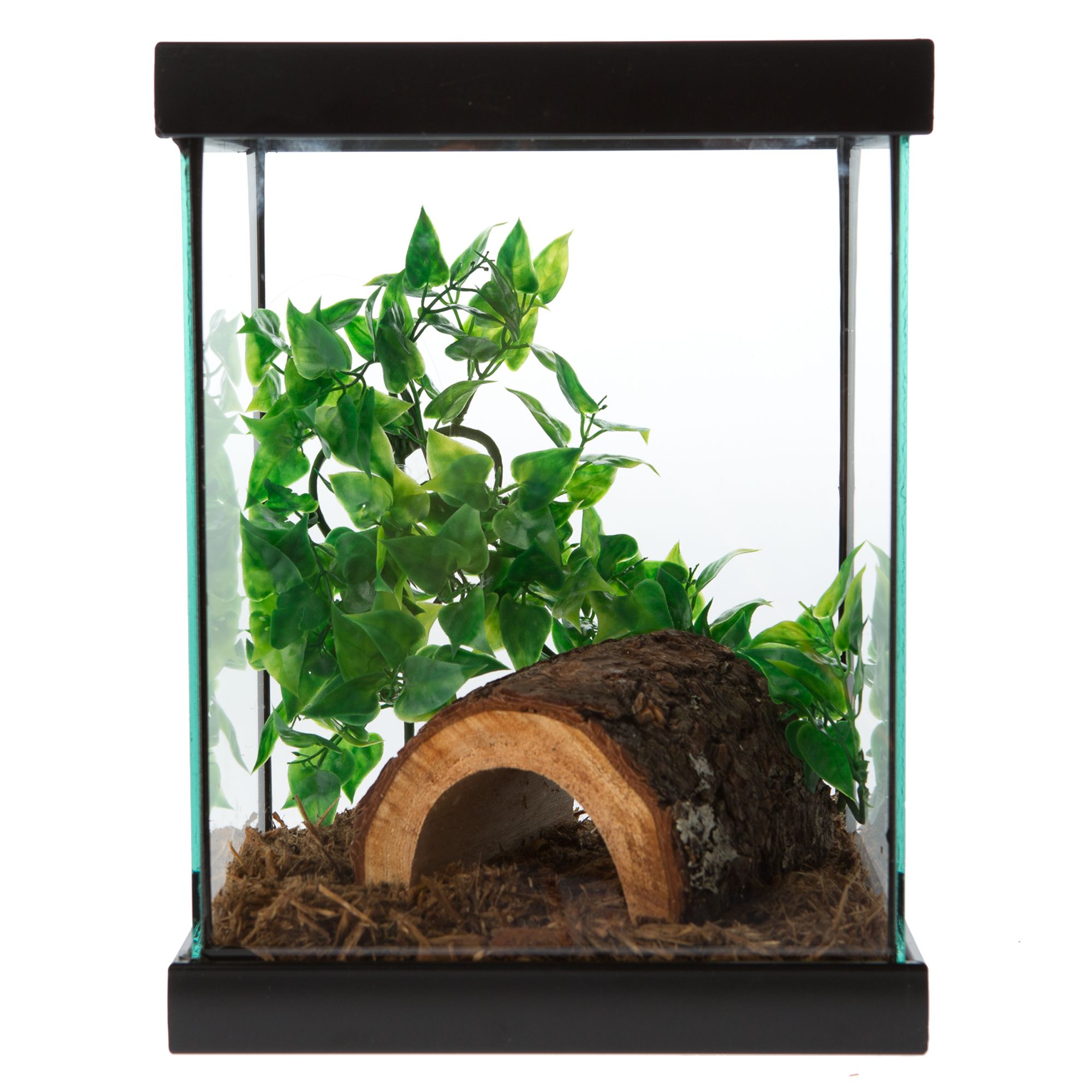 Reptile Terrariums: Reptile Tanks & Housing | PetSmart