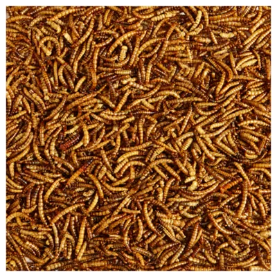 KAYTEE Mealworms