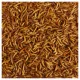 Product KAYTEE® Mealworms