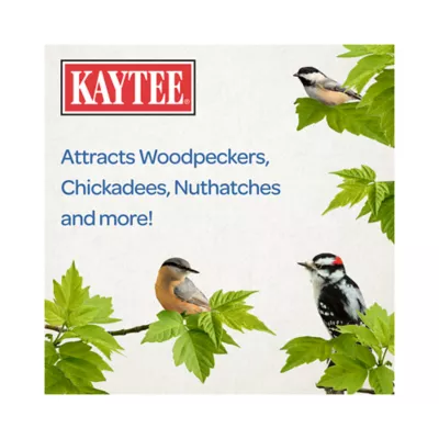 Product KAYTEE® Woodpecker Wild Bird Seed Cake