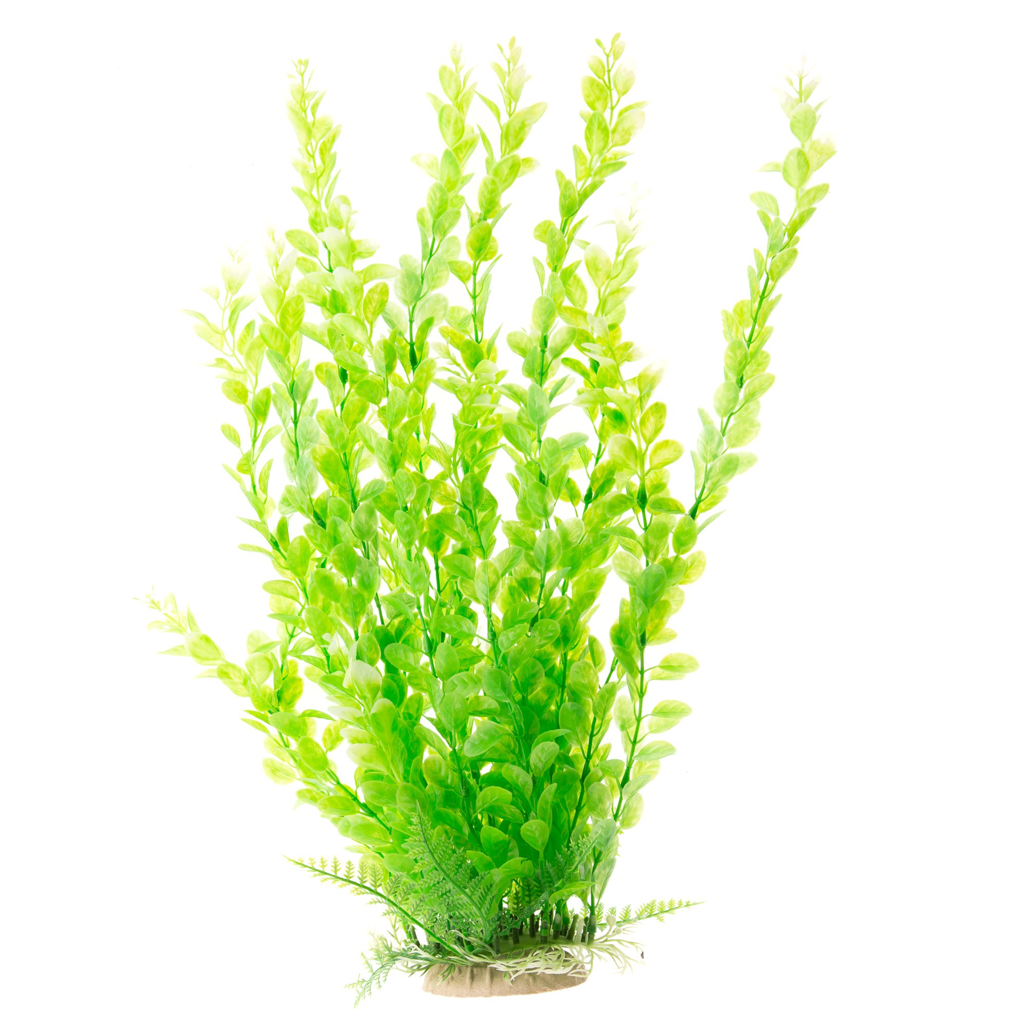 Top Fin® Light Green Aquarium Plant - PetSmart