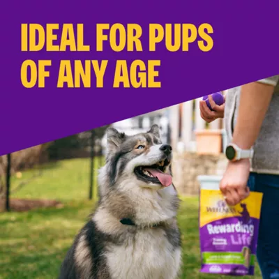 Wellness® The Rewarding Life Dog Treats - Natural, Grain Free, Lamb & Salmon - Image 3