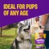 Wellness® The Rewarding Life Dog Treats - Natural, Grain Free, Lamb & Salmon image thumbnail 3
