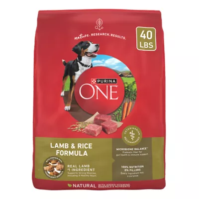 Product Purina ONE® SmartBlend Everyday Nutrition Adult Dog Dry Food - Lamb, High-Protein