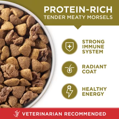 Product Purina ONE® SmartBlend Everyday Nutrition Adult Dog Dry Food - Lamb, High-Protein