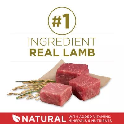 Product Purina® ONE® Adult Dog Dry Food - Lamb & Rice, High-Protein