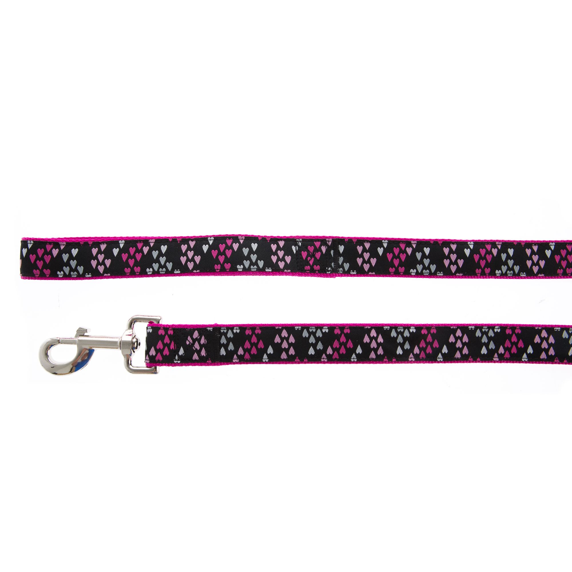 petsmart double leash