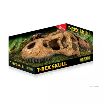 Product Exo Terra® T-Rex Skull Fossil Hideout