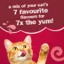 Friskies Dry Cat Food - 7 Favourites Flavours, image thumbnail 6