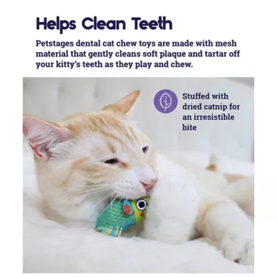 Cat toy clean teeth best sale