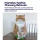 Product Catstages Fresh Breath Mint Stick Cat Toy