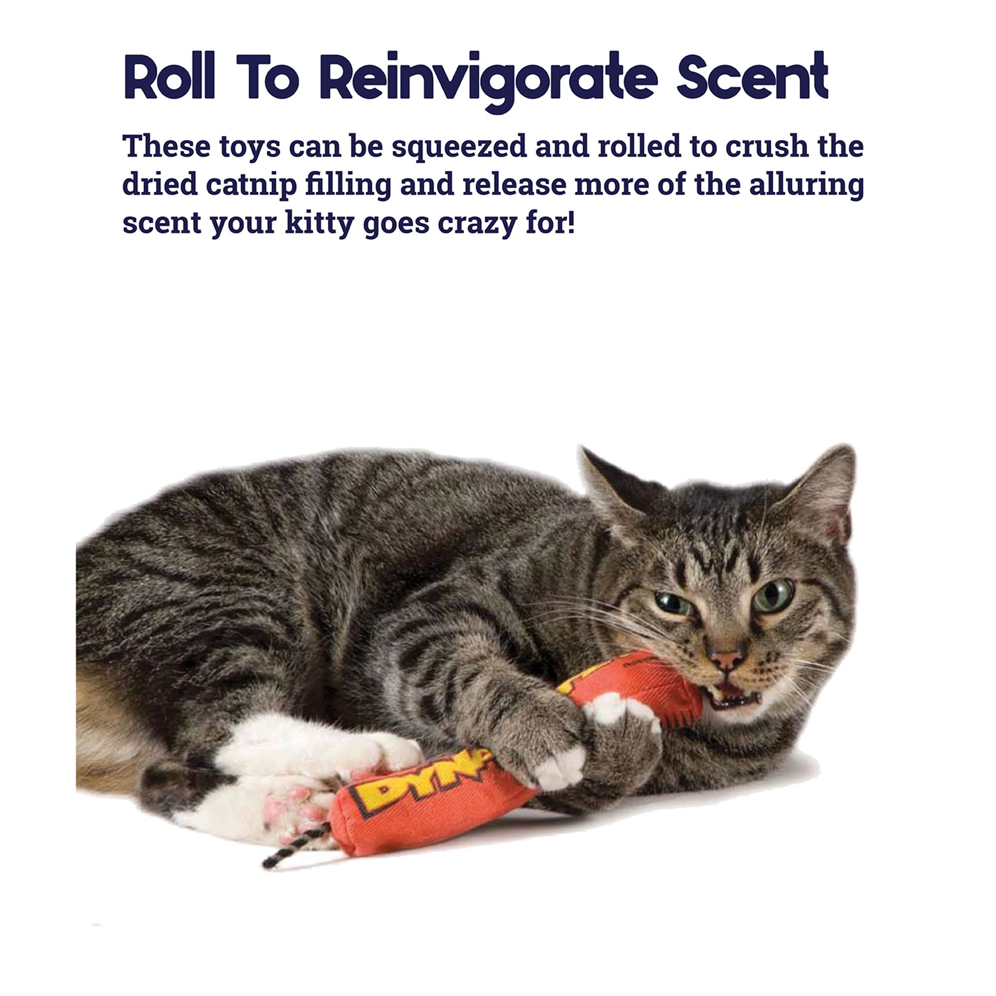 Catstages Magic Dynamite Cat Toy - thumbnail 4