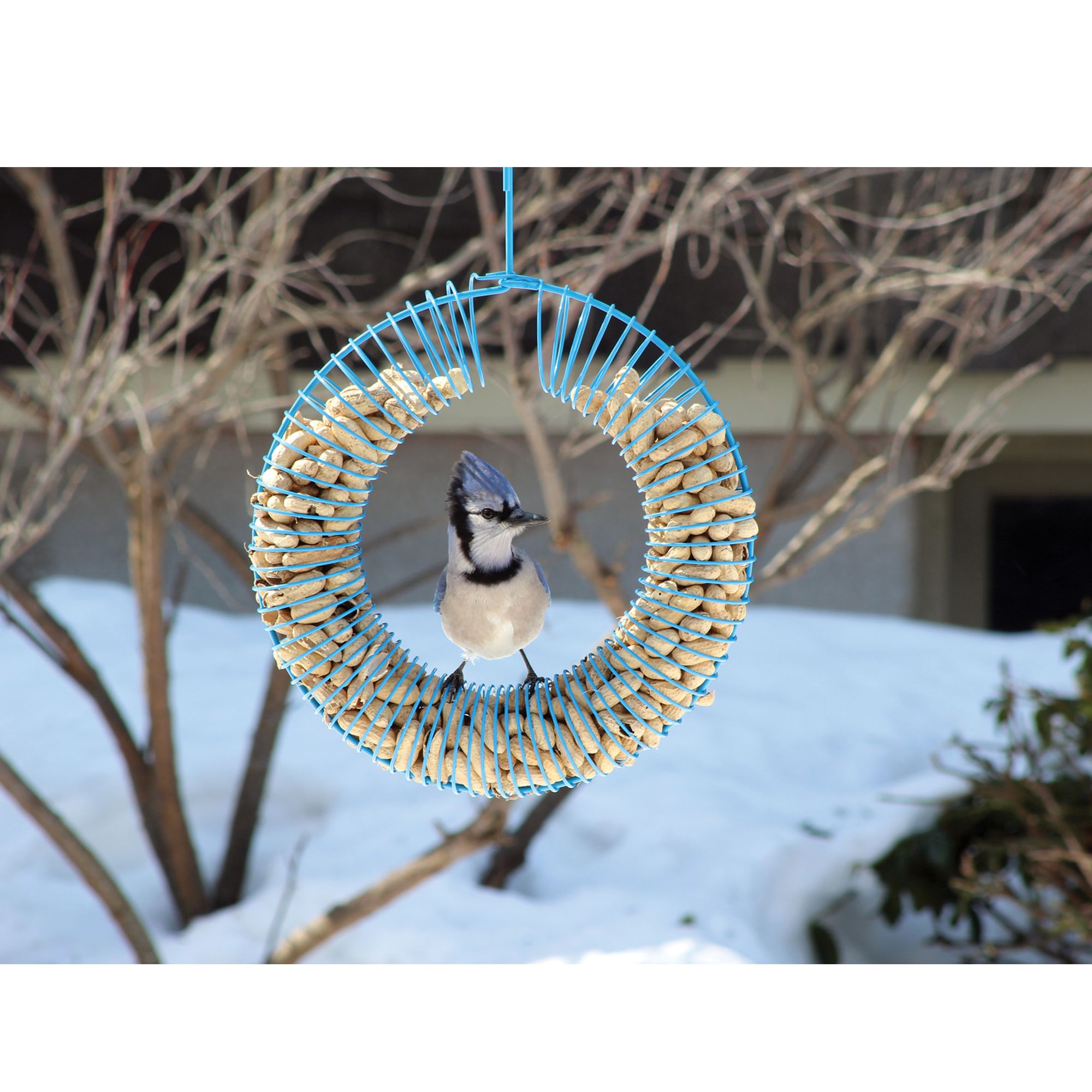 Pinebush Wreath Peanut Wild Bird Feeder Bird Outdoor Feeders