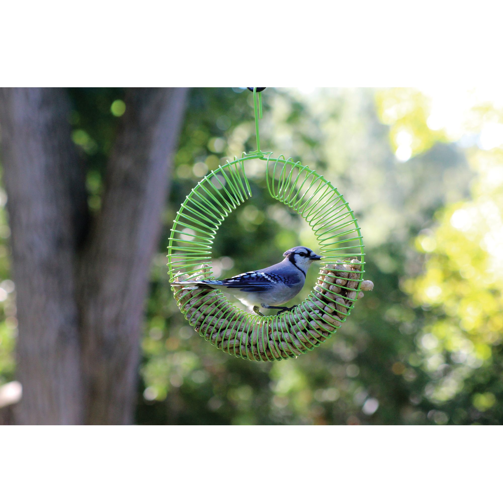 Pinebush Wreath Peanut Wild Bird Feeder Bird Outdoor Feeders